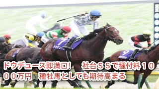 ドウデュース即満口！　社台ＳＳで種付料１０００万円　種牡馬としても期待高ま🏇🏇🏇🏇🏇