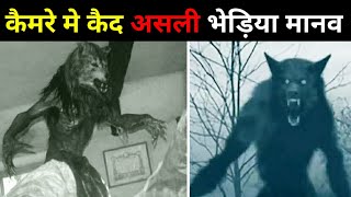 कैमरे मे कैद असली भेड़िया मानव | top real werewolf caught on camera | real life werewolf | u4u