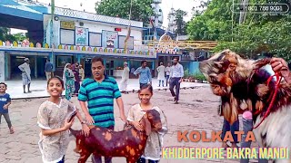 Kolkata Khidderpore Bakra Mandi | Goat Market with Price