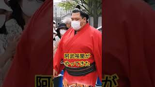 阿武咲関がやってきた #相撲 #sumo #両国国技館 #sumida #tokyo #墨田区