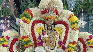 முருகன் திருக்கல்யாணம் ஸ்ரீ வேலியம்மன் ஆலயம் கூடுவாஞ்சேரி#murugan #thirukalyanam