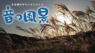 音の風景 「石鎚山の鎖場～愛媛～」