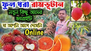 অনন্যা নার্সারির ফুল ধরা রামভূটান ও নতুন কিছু আমের ভ্যারাইটি যা আপনি আগে কোথাও দেখেননি ।