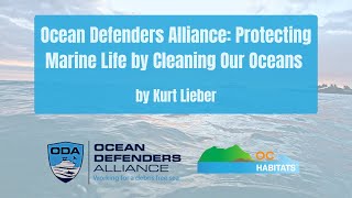 Ocean Defenders Alliance: Protecting Marine Life by Cleaning Our Oceans