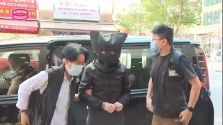 【涉刊隐喻反送中儿童绘本 港治疗师工会5人被捕】