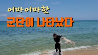 어마어마한 군단이 나타났다! #바다투망 #화진포 #멸치투망 #Cast net fishing #sea fishing