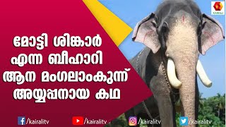 മോട്ടി ശിങ്കാർ ആണ്  മംഗലാംകുന്ന്  അയ്യപ്പൻ | Mangalamkunnu Ayyappan Elephant | Kerala Elephant