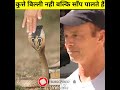 shetphal village land of snake shetphal village in maharashtra snake village in india vmotive