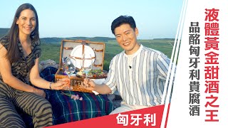 Jason Wang 王凱傑《摘星秘密客》匈牙利 液體黃金甜酒之王 匈牙利國寶貴腐酒的產地｜第四集預告