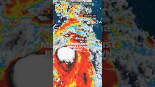 Meteorologist breaks down Tropical Storm Idalia