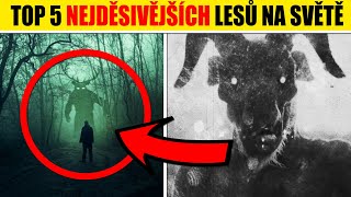 TOP 5 nejděsivějších LESŮ NA SVĚTĚ