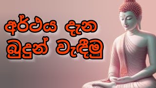 අර්ථය සිහිකරමින් අවබෝධයෙන් යුතුව බුදුන් වැඳීමෙන් බොහෝ අනුසස් ලබා ගත හැකියි