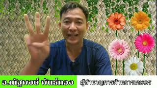 แนะนำการใช้4tree