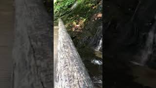 June’s Whank Falls is one of the waterfalls in the Smoky Mountains. We had a great hike!