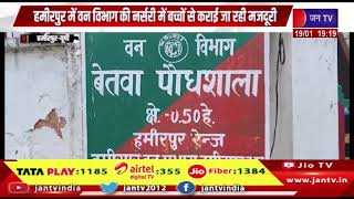 Hamirpur-हमीरपुर में वन विभाग की नर्सरी में बच्चों से कराई जा रही मजदूरी ? |JANTV