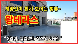 [인천신축빌라](No.4117) 계양산이 훤히 보이는 뻥뷰 왕테라스~ 거실과 방도 크게 나왔습니다~ 최저 실입주금 2천~ 무입주도 문의주세요! 인천 계양구 효성동 [효성동신축빌라]