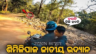 LULUNG- 2022 / Similipal Tiger Reserve / Baripada / Mayurbhanj