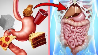 4 digestive symptoms you should NEVER ignore 💥 (Pay attention) 🤯