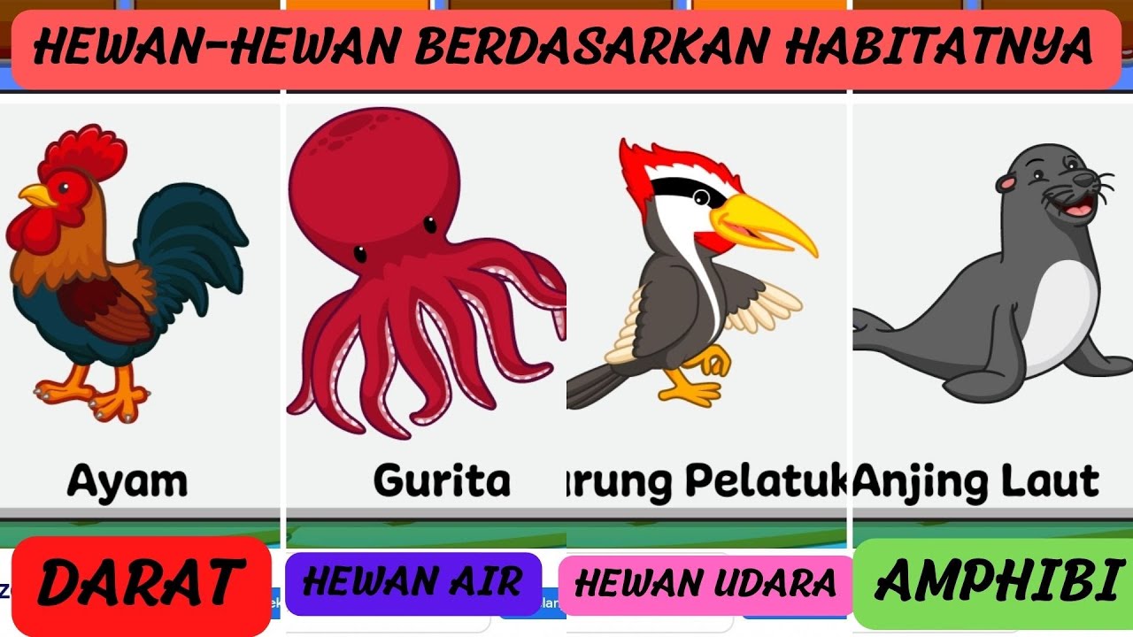 4 Habitat Hidup Hewan | Belajar Tentang Hewan | Secil | Solite Kid ...