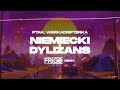 ptak u0026 werkadrifterka niemiecki dyliŻans frigo remix