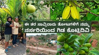 ನೂರಾರು ದೇಸಿ ವಿದೇಶಿ ಹಣ್ಣುಗಳ ನರ್ಸರಿ|1935ರಿಂದ ಇದೆ|Farm tour kannada