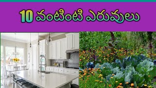 63.ఉచిత ఎరువులు 10 free fertilizers from kitchen