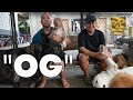 OG | DOG BEHAVIORIST SA PILIPINAS