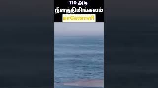 🔥110 அடி திமிங்கலமா #shorts