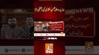 وزیرداخلہ محسن نقوی کی دھمکی!!#GNN #BreakingNews #NewsUpdates #GNN_Updates