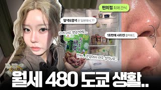 🇯🇵도쿄 한달살이🇯🇵 월 400이 넘는데.. 가성비인(?!) 도쿄 숙소 룸투어부터~존맛 일본 간식 \u0026 피부관리 꿀템까지✨