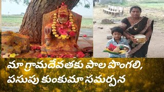 మా గ్రామదేవత నాగారమ్మ వద్ద పాలు పొంగలి|| నాగారమ్మ అమ్మ వైభవం