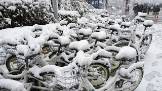 Une grande partie du Japon sous la neige alors que la vague de froid extrême se poursuit