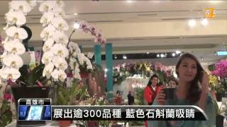 【2013.11.29】高雄蘭花展登場 近萬株蘭花爭豔 -udn tv