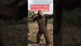 апути😭 не путю😡ну кому я говорю🧐