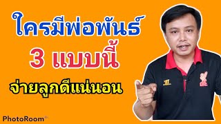 ไก่พ่อพันธ์ การคัดไก่พ่อพันธ์ พ่อพันธ์แบบไหนเป็นที่นิยมในปัจจุบัน