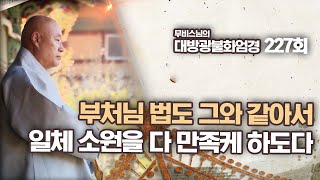 부처님 법도 그와 같아서 일체 소원을 다 만족케 하도다 [#무비스님의 #대방광불화엄경 227회]