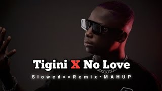 Tigini X No Love - Lofi Mashup | Tigini X No Love (Slowed+Rewarb) | THE PUNIT EDITZ