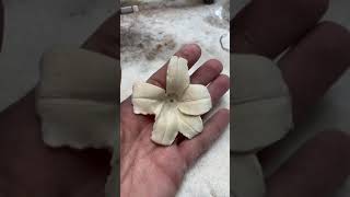 Carving a stargazer lily out of antler #antlers #carving #antlers #lily