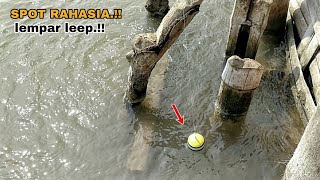 Mancing kakap putih. Di spot rahasia. Lempar langsung ada bantayan seketika.!!