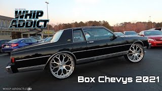 2021 Box Chevy World! 78'-90' Chevy Caprices, 26s, 28s and 30s! Whip Addict Box Chevy Video