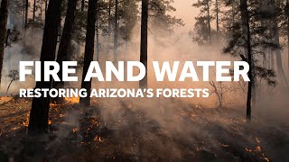 Fire and Water: Restoring Arizona's Forests