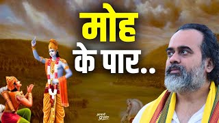 एक ही तरीका मोह के पार जाने का || आचार्य प्रशांत, भगवद् गीता पर (2019)