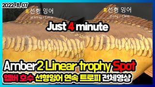 221107 엠버호수 선형잉어 연속 트로피 전체영상 l 러시안피싱4 Russian Fishing 4 RF4