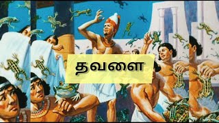 தவளைகள் பற்றி வேதாகமத்தில் | Christianmedias