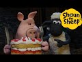 Shaun the Sheep 🐑 Cake Trouble - Cartoons for Kids 🐑 Full Episodes Compilation [1 hour]
