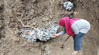 Menemukan sarang rayap di musim hujan. Berkebun dan berteduh di Gubuk dalam hutan.