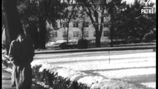 Snowstorm In Florida (1958)