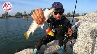 cara mancing tamok pakai pelampung #vlog25