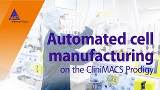 Automated cell manufacturing on the CliniMACS Prodigy