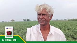 #successstory  #sarpanseeds #sarpan #Dhrona 415 | #chillisseeds చాలా అధిక దిగుబడి మరియు నిరోధక పంట